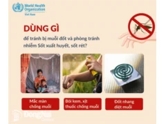 CHỦ ĐỘNG PHÒNG, CHỐNG SỐT RÉT HƯỚNG TỚI LOẠI TRỪ BỀN VỮNG