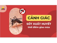 Thông điệp phòng, chống sốt xuất huyết