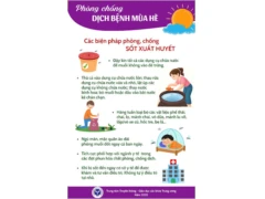 Phòng chống dịch bệnh phổ biến trong mùa hè