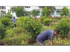 Trung tâm Y tế huyện Vĩnh Cửu tổ chức hoạt động vì môi trường xanh