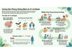 Hướng dẫn phòng, chống bệnh do vi rút Nipah