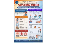 PHÒNG CHỐNG BỆNH TAY CHÂN MIỆNG