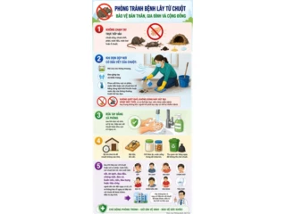 TĂNG CƯỜNG PHÒNG, CHỐNG BỆNH DO VI RÚT HANTA