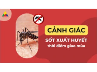 Thông điệp phòng, chống sốt xuất huyết