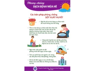 Phòng chống dịch bệnh phổ biến trong mùa hè