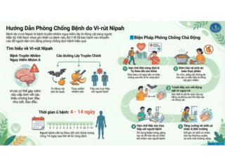 Hướng dẫn phòng, chống bệnh do vi rút Nipah