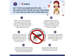 PHÒNG CHỐNG BỆNH SỐT XUẤT HUYẾT